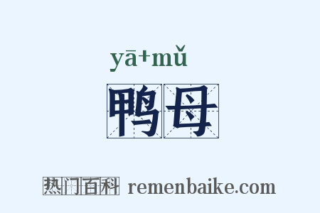 鸭母是什么意思的图片